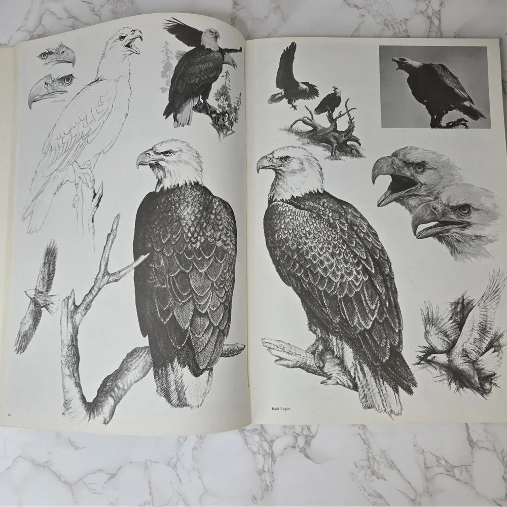 Signed Doug Lindstrands Alaskan Sketchbook 6th Ed 1983 Wildlife Art Photo Guide